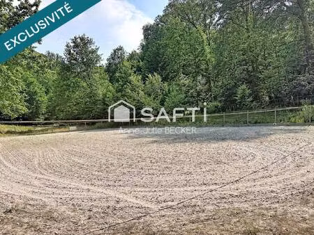 safti becker anne julie conseiller indépendant