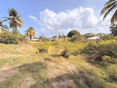 rare à la vente : terrain constructible de 713 m² – route touristique  saint-françois