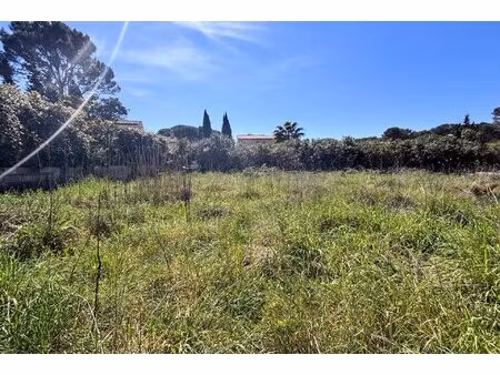 vente terrain