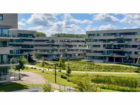 appartement te huur in edegem met 1 slaapkamer