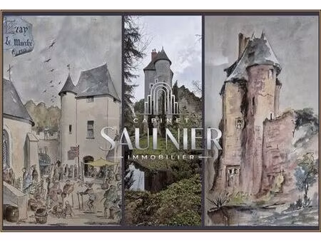 prestigieux château en vente azay-sur-cher  centre