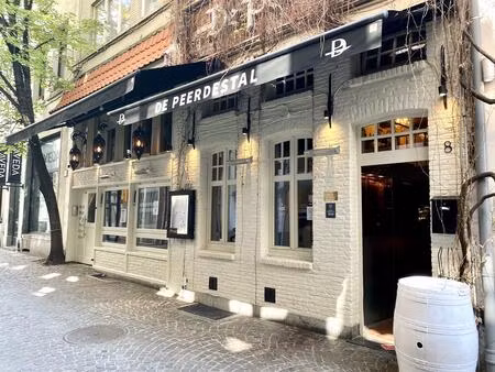 appartement te huur in antwerpen met 1 slaapkamer