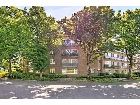 appartement te huur in borgerhout met 3 slaapkamers