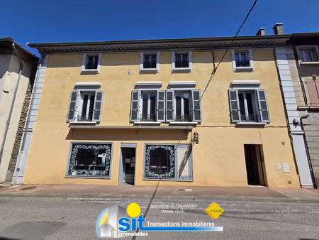 achat immeuble 487m² roussillon 38150