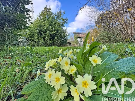vente terrain 1 624 m²