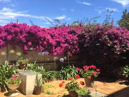 achat appartement 2 pièces 36m² cannes 06400