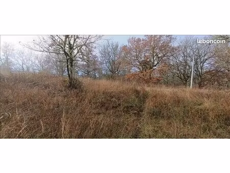 terrain 2 391 m² albas