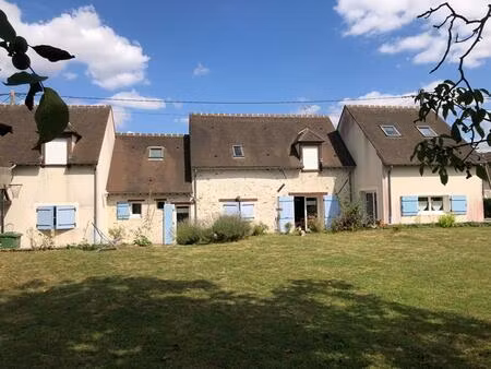 charmante briarde rénovée -175 m² habitables - 4 chambres -terrain de 871 m²