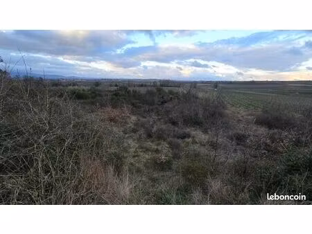 terrain agricole 4 177 m² pailhes