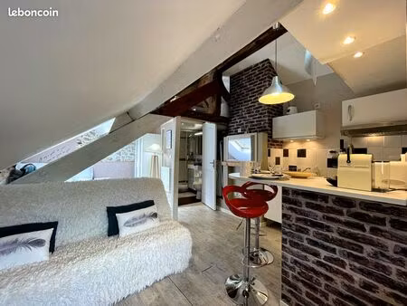 ? studio meublé 21m² – vieille ville d’annecy – bail étudiant (septembre à mai)