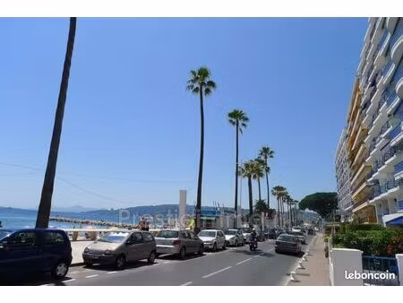 studio 1 pièce 24 m²