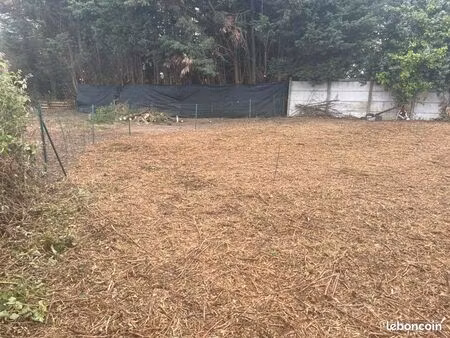 location terrain pour poney ou autre