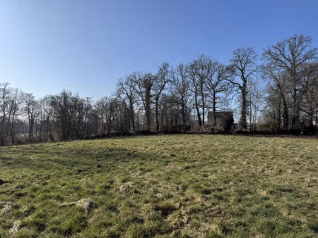 achat terrain 2 833m² marigny sur yonne 58800