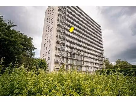 appartement te koop in antwerpen met 3 slaapkamers