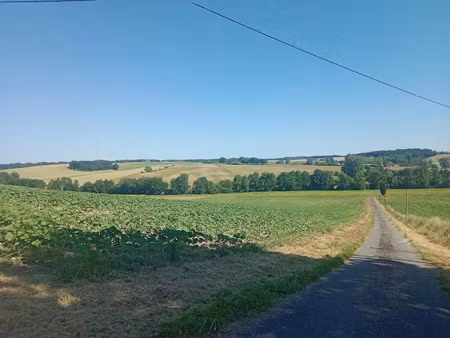 vente maison 1 pièce 300 m² à saint-vivien-de-monségur (33580)  235 000 €