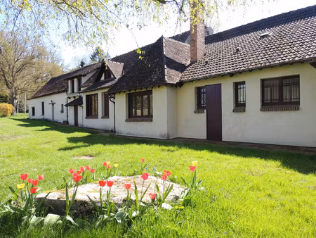achat maison 12 pièces 366m² noe 89320