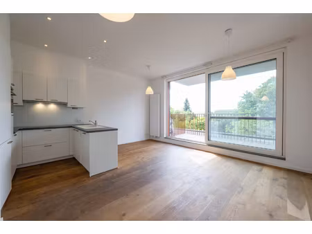 appartement te koop in hemiksem met 2 slaapkamers