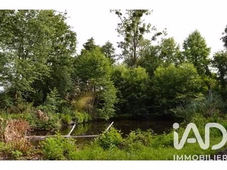 vente terrain 4 555 m²