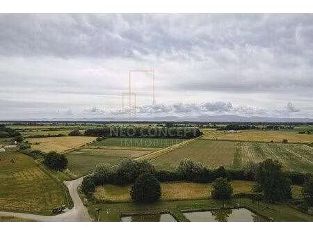 oberhoffen sur moder vous avez un projet ? belle parcelle a ne pas louper !!!