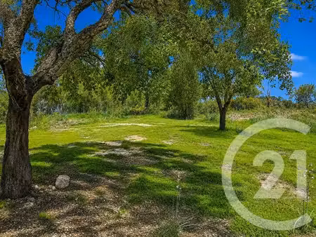 terrain à vendre - 2000 m2 - zonza - 201 - corse