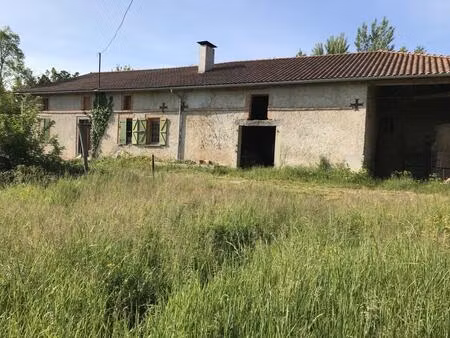 proche l'isle-en-dodon  ferme ancienne à rénover  terrain de 4 4 ha ...