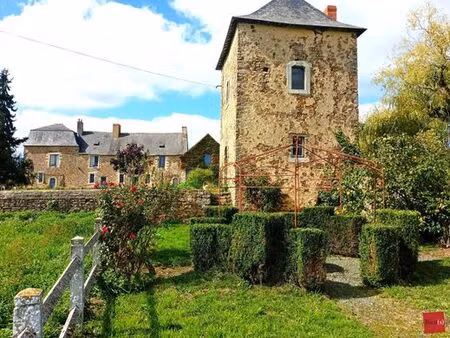 prestigieux château en vente blandouet  pays de la loire