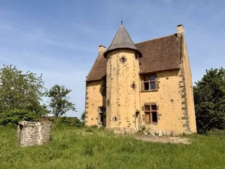 prestigieuse maison en vente mézières-sous-lavardin  france