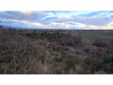 terrain - 4177 m²