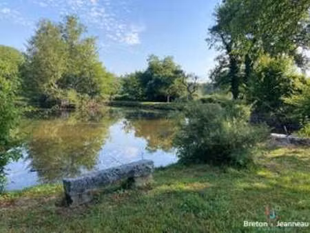 vente terrain au genest-saint-isle (53940) : à vendre / 8517m² le genest-saint-isle