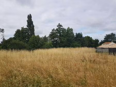 vente terrain à monnières (44690) : à vendre / 740m² monnières
