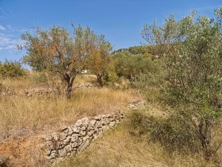 lorgues terrain à bâtir de 614m2