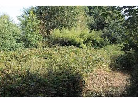 vente maison à saint-gonnery (56920) : à vendre / 110m² saint-gonnery