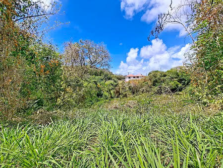 a vendre : terrain constructible - 2 288 m2 - pointe savane - le robert