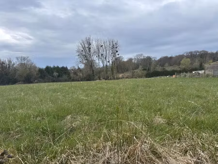 vente terrain 819 m² montmerrei (61570)