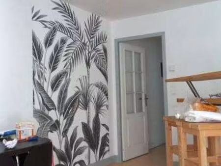 location appartement 2 pièces meublé à bayonne (64100) : à louer 2 pièces meublé / 45m² ba