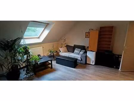 appartement 1 chambre  epc b  asse