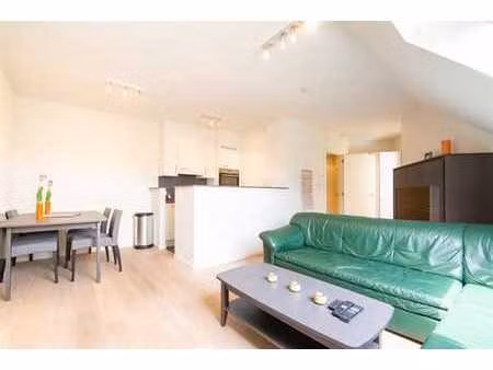 magnifique appartement meublé 1 chambre - (zone otan)