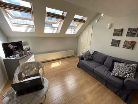 cosy appartement meuble et full equipe avec 1 chambre