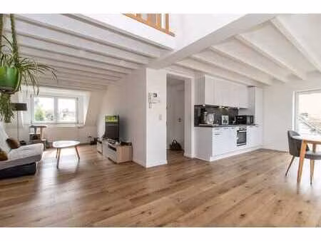 duplex