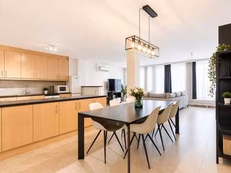 appartement spacieux avec terrasse près de muidepoort