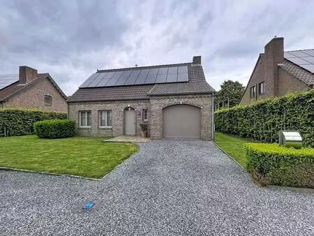 maison à louer à maaseik € 1.650 (lp4vf) - beneca vastgoed | zimmo