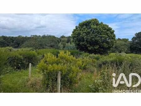 vente terrain à plouha (22580) : à vendre / 2384m² plouha