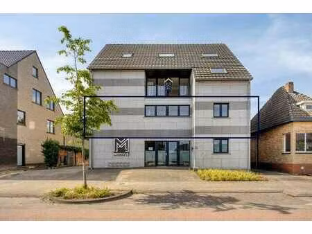 vente - appartement hasselt - 295 000 €