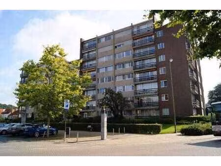 appartement ensoleillé avec vue sur le parc bruul.