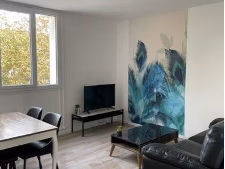 joli t3 meublé villeurbanne 1150/mois