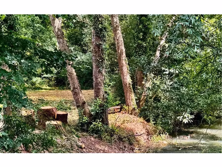 terrain châtillon-coligny m² t- à vendre  19 000 €