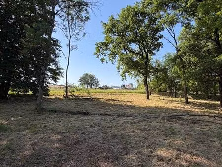 terrain constructible à vendre