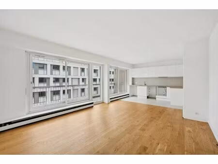 appartement lumineux avec sejour et cuisine americaine