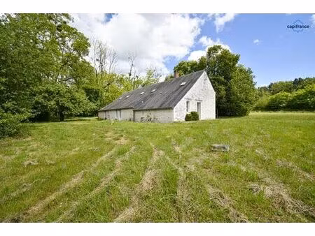 vente immeuble 230 m² meusnes (41130)