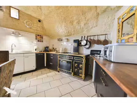 vente maison 5 pièces 180 m² montrichard val de cher (41400)